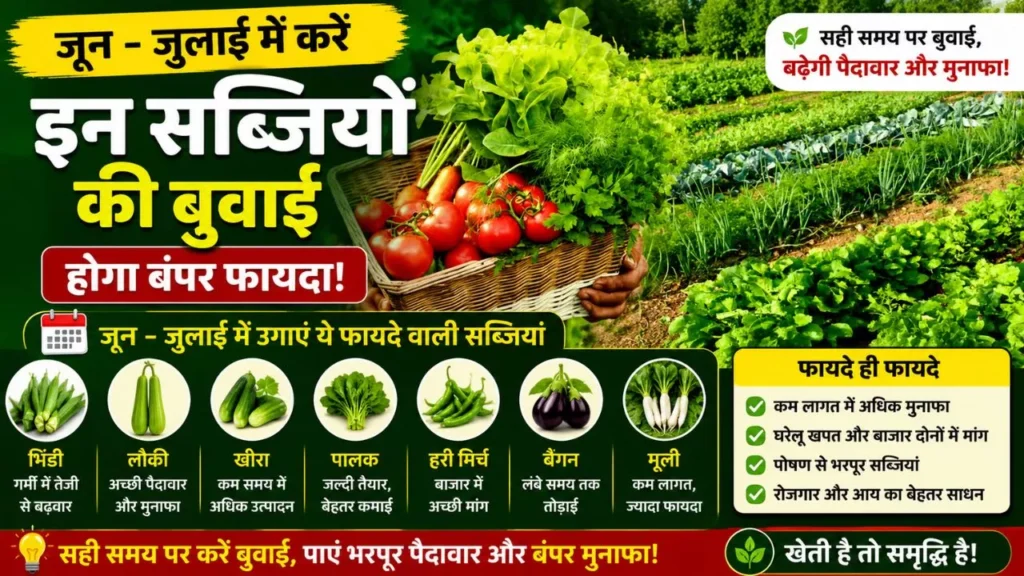 Vegetables to sow in July